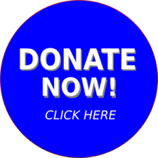 Donate Button 1