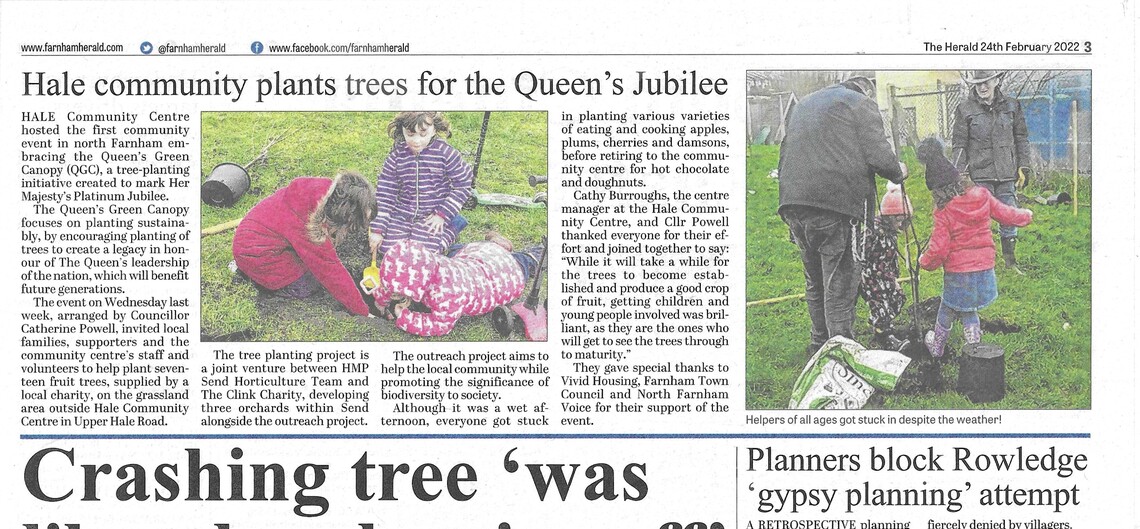 Farnham Herald - Trees - 240222