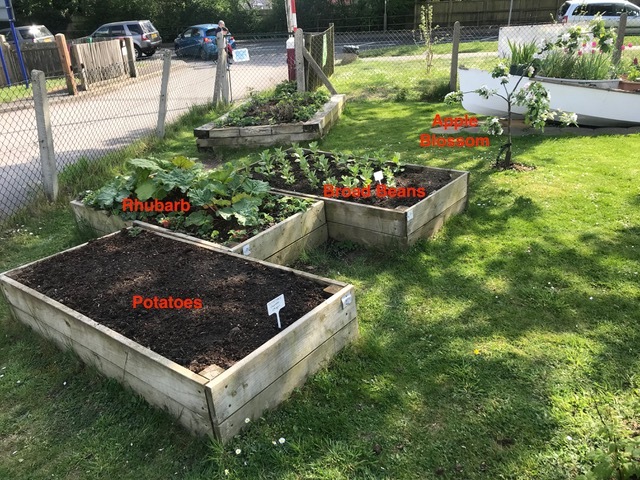 Garden 1