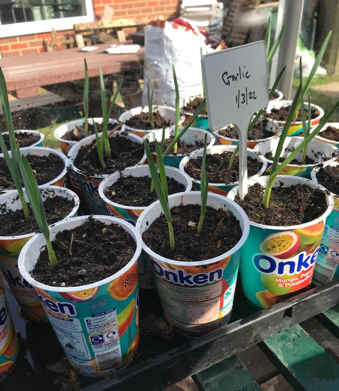 Garden1