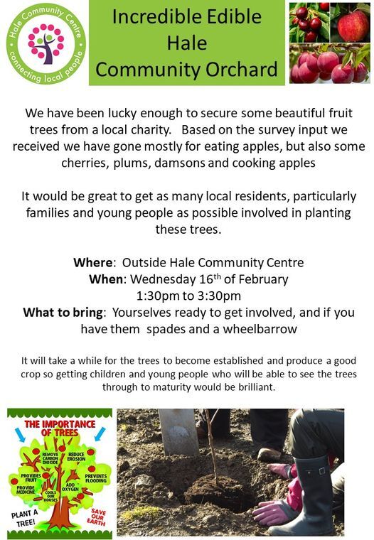 Tree Planting