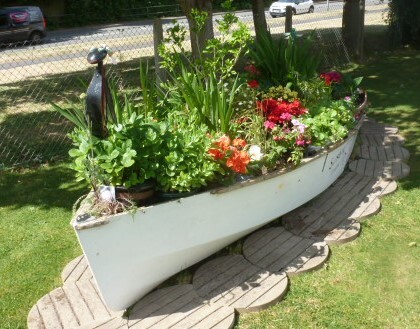 Tudor Rose - June 2020
