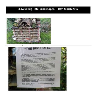 New bug hotel is now open