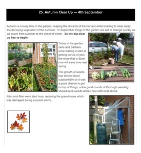Autumn Clear Up - 4th September