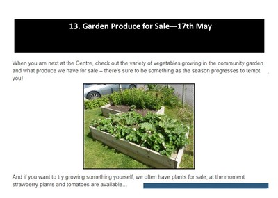 Garden Produce for Sale - 17th May