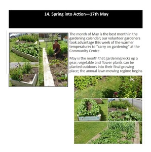 Spring into Action - 17th May