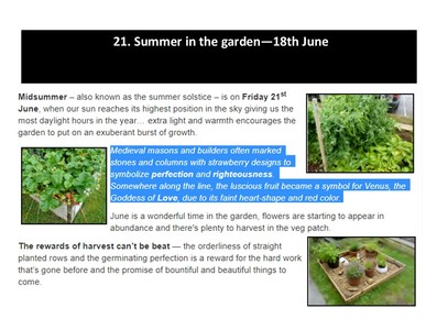 Summer in the Garden - 18th June