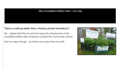 Incredible Edible Hale - 1st July