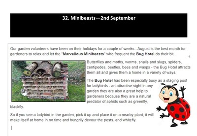 Minibeasts - 2nd September